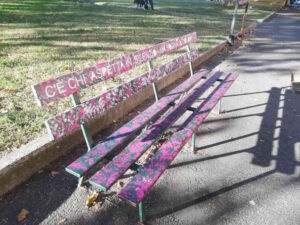 Panchine decorate e riqualificate in piazza Damiano Chiesa (Video)