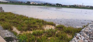 Maltempo a Livorno, Salvetti: “Piogge oltre le previsioni, ma il sistema di sicurezza ha funzionato”