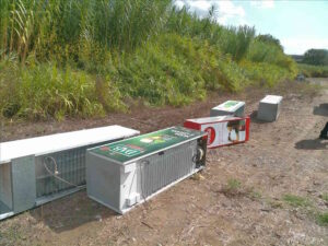 Ecoreati, abbandonati 10 frigoriferi, individuato presunto responsabile