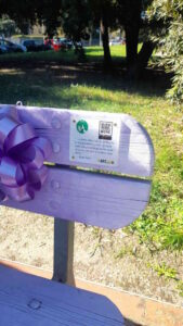Inaugurata una panchina viola per sensibilizzare sul tema dell’Alzheimer