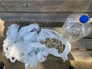 Gli alunni della primaria di Villa Corridi in azione per un parco più pulito e sano