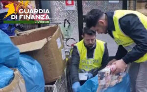 Sequestrati oltre 2000 Labubu contraffatti a Cecina e altri 6000 giocattoli