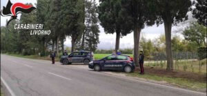 Donoratico, due automobilisti denunciati per guida in stato di ebbrezza, uno ha causato anche un sinistro stradale 