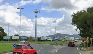 Gatti sedati e feriti sulla rotonda di viale Boccaccio