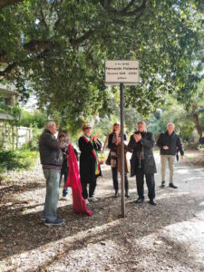 Intitolato al pittore Ferruccio Mataresi del vialetto di accesso di Villa Fabbricotti