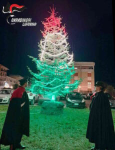 A Portoferraio un albero di Natale con i colori nazionali
