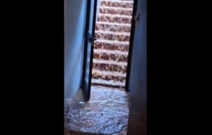 Pioggia e saturazione del suolo: l&rsquo;Isola d&rsquo;Elba affronta nuovi allagamenti. Tre video che mostrano la devastazione