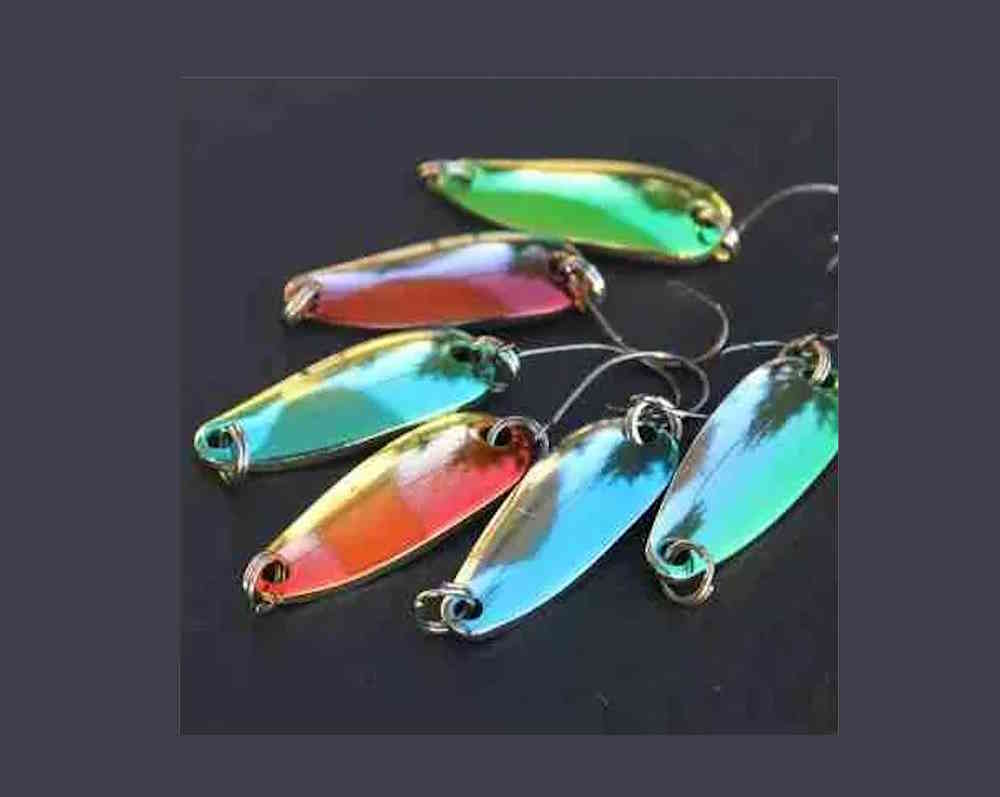 Trout area: tutto quello che devi sapere per iniziare