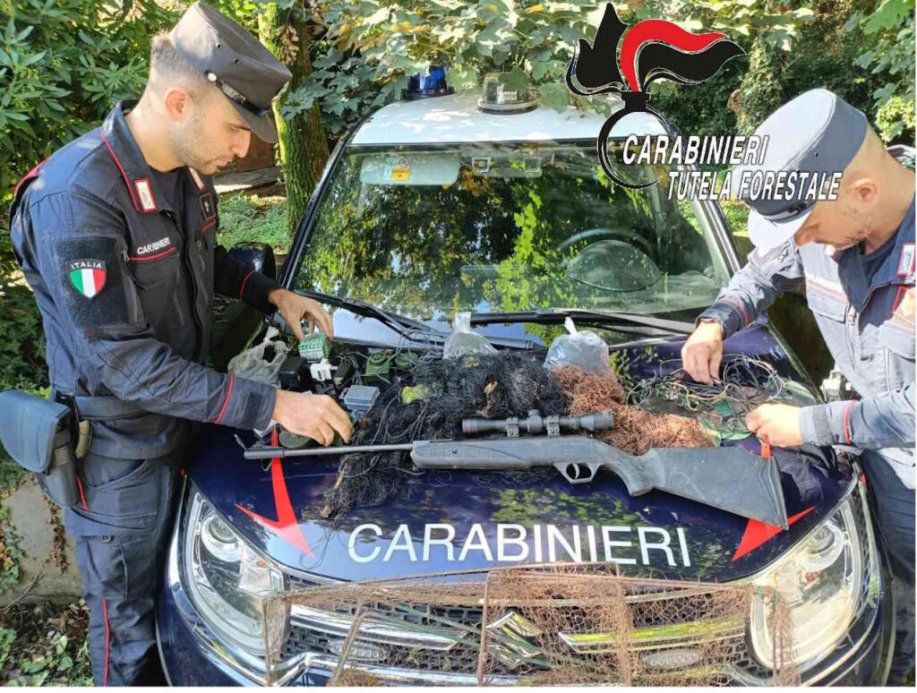 Livorno: spara ad una beccaccia, multa da 1000 euro e licenza sospesa ad un cacciatore