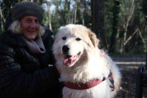 Quattro anni, uno sguardo dolce e tanta voglia di casa: Chopper cerca adozione