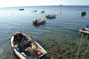 Foto gentilmente concesse dal pescatore Enrico Marra