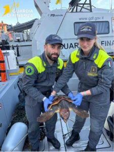 Chioma, il Roan salva tartaruga marina Impigliata in un attrezzo da pesca illegale