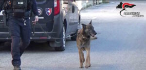 Cecina: 11 arresti, sequestrati 6 chili di hashish e 9mila euro