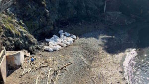 Maxi gru nella notte: Aurelia chiusa per il recupero del capodoglio a Castiglioncello