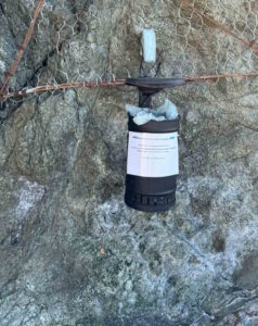 Cestino abusivo sulla scogliera, scoppia il caso intervengono Comune e Guardia Costiera