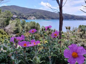 Pasqua 2026 nell&rsquo;Arcipelago Toscano: escursioni tra natura, storia ed enogastronomia nelle isole del Parco