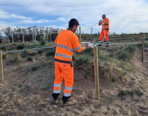 Rosignano salva la duna del Lillatro: al via il progetto di tutela tra flora rara e protezione del fratino