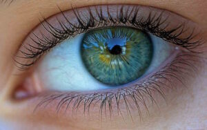 Equilibrio tra corpo mente e spirito: Vincenzo Leo parla di Iridologia in naturopatia