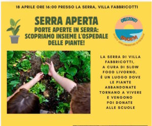 Porte aperte in serra: scopriamo insieme l'ospedale delle piante