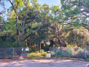 Via Biserno, un parco avventura nelle aree boscate: approvato l’atto di indirizzo della giunta