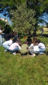 Un ulivo nel giardino delle Rodari, iniziativa nata da genitori e alunni della 5C