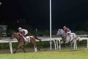 Ippodromo Caprilli, Ceillings beffa Anthony e vince il Premio Effetto Venezia