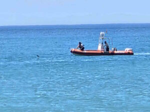 Il delfino intrappolato, la Capitaneria lo salva applausi dalla spiaggia a Marina di Cecina