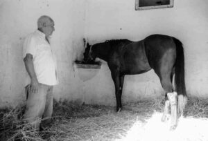 Ippodromo Caprilli, la tredicesima giornata è dedicata a Saro Pecoraro