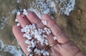 Materiale granuloso bianco sulla costa: segnalazioni anche a Quagliodromo e Baratti