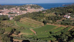 Il Consorzio Elba Doc a Vinitaly New York